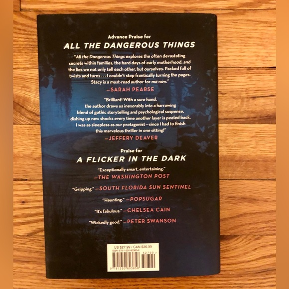 All the Dangerous Things by Stacy Willingham - Picture 2 of 3